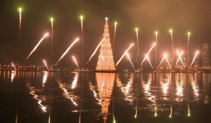 Brésil: Rio inaugure son arbre de Noël flottant