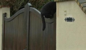 Plus Belle La Vie Apres Le Meurtre Du Chaton Tigrou France Tele Rassure Les Sur Orange Videos