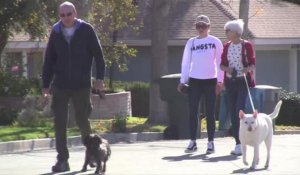 Amanda Bynes promène ses chiens avec ses parents après sa cure