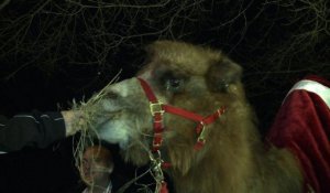A Washington, pour Noël, louez un chameau !