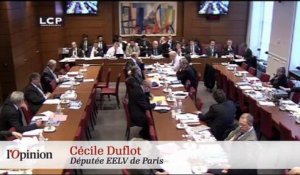 Cécile Duflot : le coup d'éclat permanent