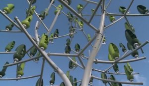 L'"Arbre à vent", une éolienne pour exploiter les courants d'air