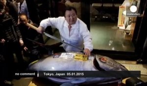 Japon: 1ère criée de l'année, un thon adjugé 31.350 euros