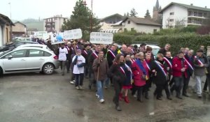 Center Parcs de Roybon: "marche pacifique" des partisans