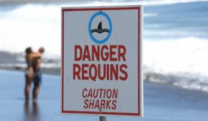 Attaque de requin : un adolescent tué à La Réunion
