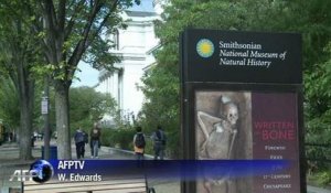 L'après-shutdown: les musées réouvrent leurs portes