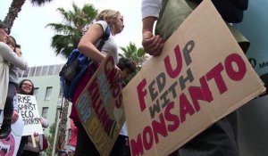 Marche mondiale contre Monsanto: 500 personnes à Los Angeles