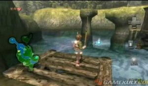 The Legend of Zelda : Twilight Princess - Partie de pêche