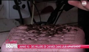 Zapping, le best of : des milliers de cafards infestent leur appartement