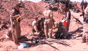 Irak:les Peshmergas kurdes disent avoir repris 4 villages à l'EI