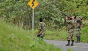 Heurts meurtriers entre les Farc et l'armée colombienne