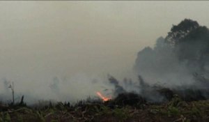 Tensions entre Singapour et Indonésie autour des feux de forêt