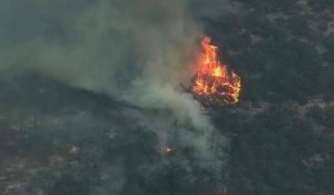 Etats-Unis: les feux de forêts gagnent le Nevada