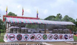 Les autorités birmanes brûlent des drogues illégales