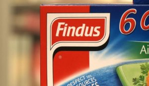Findus/Lasagne au cheval : retrait de plats surgelés en France