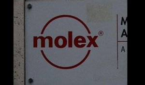 Molex: décision de la cour d'appel jeudi pour la maison mère