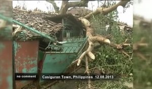 Un puissant typhon frappe le nord des Philippines