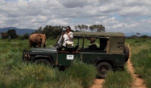 L'actrice Li Bingbing dénonce le braconnage des éléphants