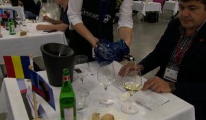La Slovaquie accueille l'un des plus grands concours de vin