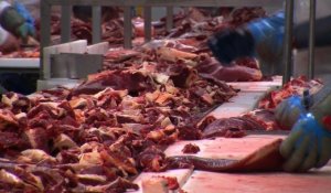 Mis en cause dans le scandale, un abattoir roumain se défend