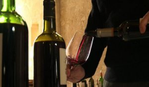 Vins de Bordeaux: le millésime 2013 doit faire ses preuves