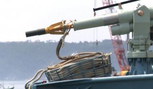 Une flottille baleinière japonaise lève l'ancre