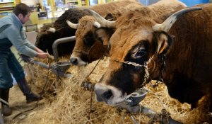 Le salon de l'agriculture s'ouvre sur fond de tensions avec le monde agricole