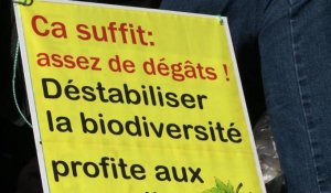 Procès du viticulteur: le parquet requiert une amende de 1.000 €