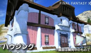 Final Fantasy XIV : A Realm Reborn - ?????