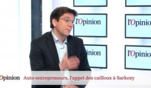 Auto-entrepreneurs, l'appel des cailloux à Nicolas Sarkozy