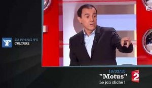 Zapping TV : la réflexion maladroite de Thierry Beccaro à un candidat