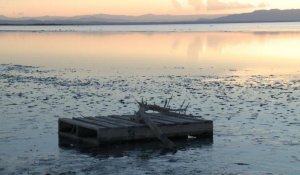 La Salton Sea, bombe à retardement écologique en Californie