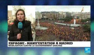 Espagne : "Pour les manifestants, Pedro Sanchez n'est pas un président légitime"