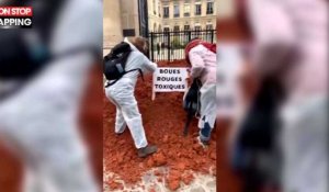 Des militants déversent de la boue devant le Ministère de l'Écologie (vidéo) 