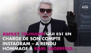 Karl Lagerfeld mort : sa chatte Choupette partage sa tristesse sur Instagram