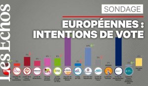 Elections européennes : LREM et RN au coude à coude des intentions de vote