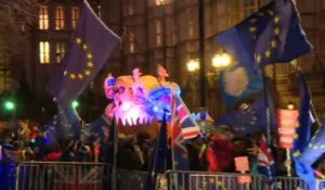 Brexit: une foule attend l'issue du vote devant Westminster