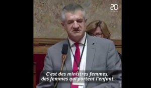 Assemblée nationale: Une députée «choquée» par des «remarques genrées» de Jean Lassalle