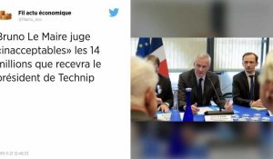 Entreprise. TechnipFMC justifie les émoluments de son futur ex-président, Bruno Le Maire les juge « inacceptables ».