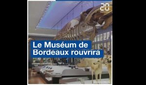 Bordeaux: Le Muséum rouvrira ses portes le 31 mars