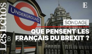 3 Français sur 4 jugent que le Brexit n'aura pas d'effet