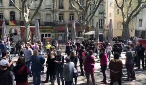 Gilets jaunes à Avignon : une centaine de manifestants devant la mairie