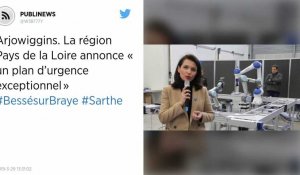 Arjowiggins. La région Pays de la Loire annonce « un plan d'urgence exceptionnel »