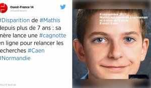 Caen. Disparition de Mathis : sa mère lance une cagnotte pour relancer les recherches