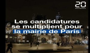 Municipales à Paris: Les candidatures se multiplient