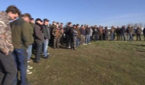 Les chasseurs de la Baie de Somme contestent l'interdiction de chasser les oies cendrées en février