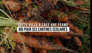 Cette ville a créé une ferme bio pour alimenter ses cantines