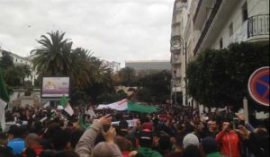 Des manifestants dans le centre d'Alger contre le 5e mandat de Bouteflika