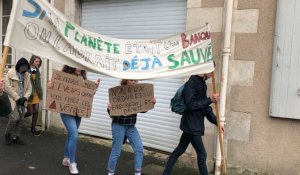 Fontenay-le-Comte. Les  lycéens manifestent pour le climat