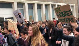 Quimper. Manifestation pour le climat